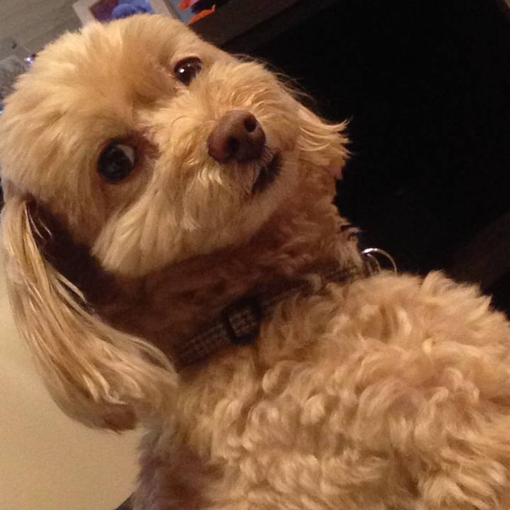 9e8a4f69 82a0 4376 b5a8 bb6d2b1e753e