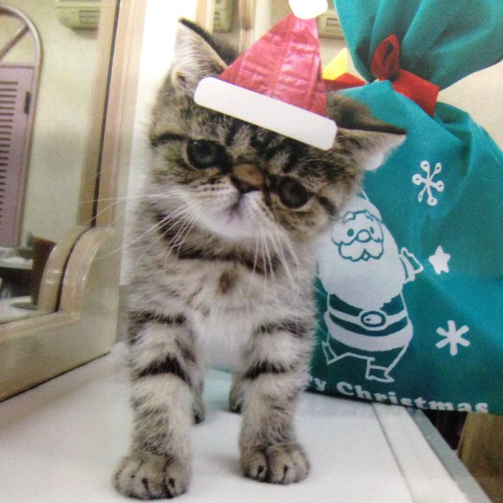 9e8b05e4 7223 4e79 b877 7be0f7c75510