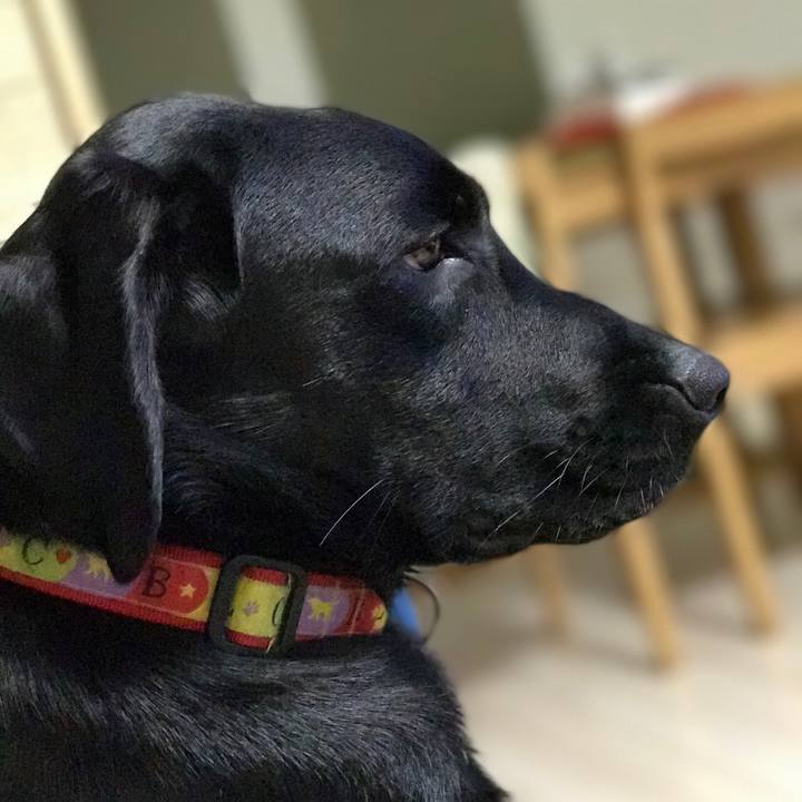 9e8b303a 7214 41ba bbb9 d2e4044c6ab0