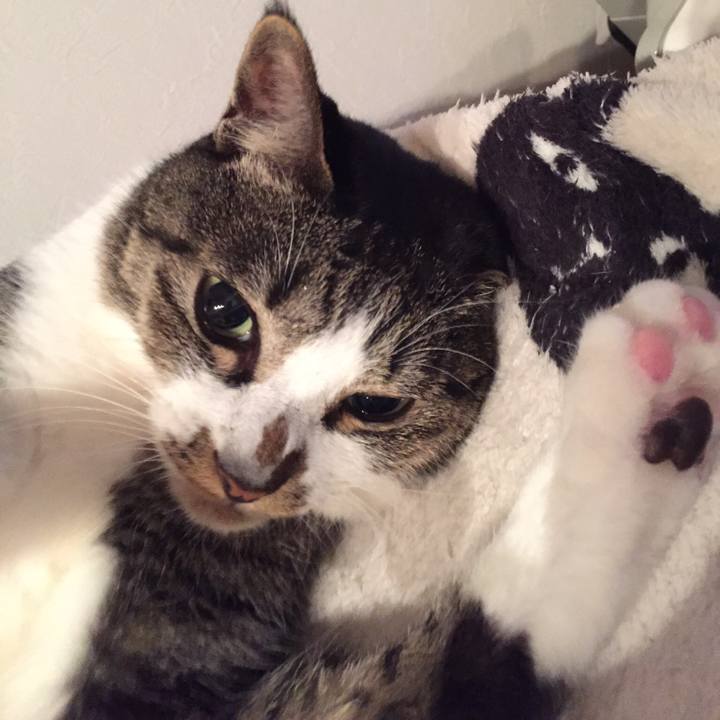 9e8b8bec 4d4e 4a38 9837 71567abdc60b