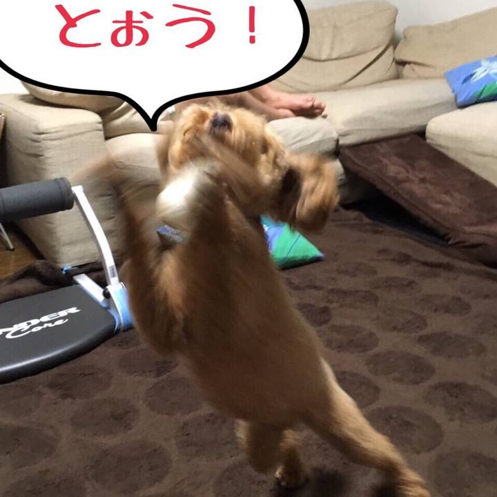 9e8c3c34 9780 4418 8a3a 95493d75fee4