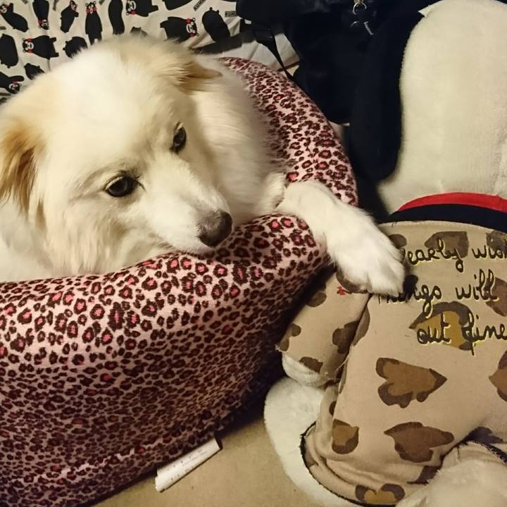 9e8c6e95 853a 4fa4 8086 d6587d5d4be8