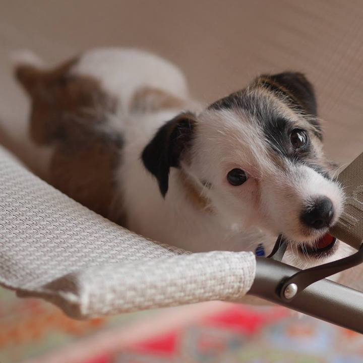 9e8ca827 bbcd 4baa ae0d 530c491508dc