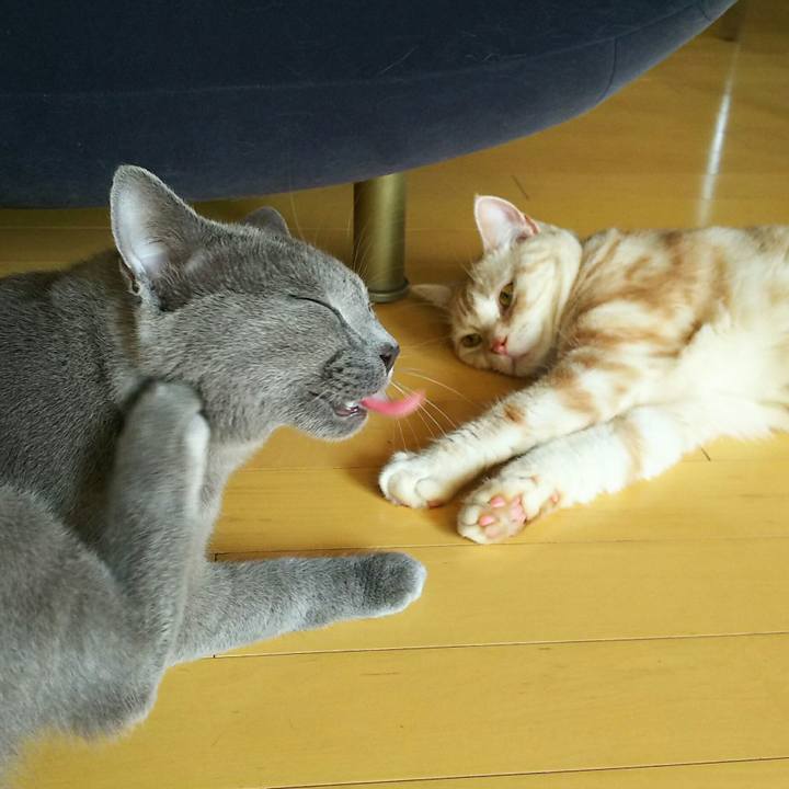 9e8ca9a5 b767 4bd3 be58 79a8579a4e05