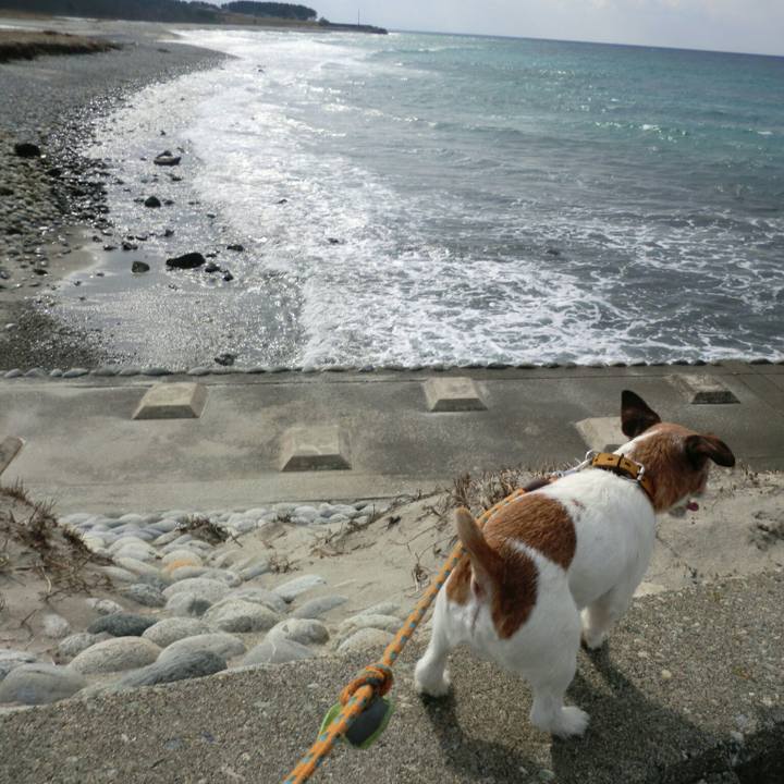 9e8d14a1 8b0e 4706 ab76 14319aa1c0e7