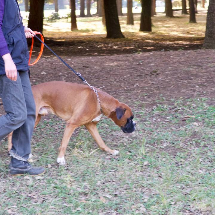 9e8d37a6 f165 4529 8912 77db475a8d5b