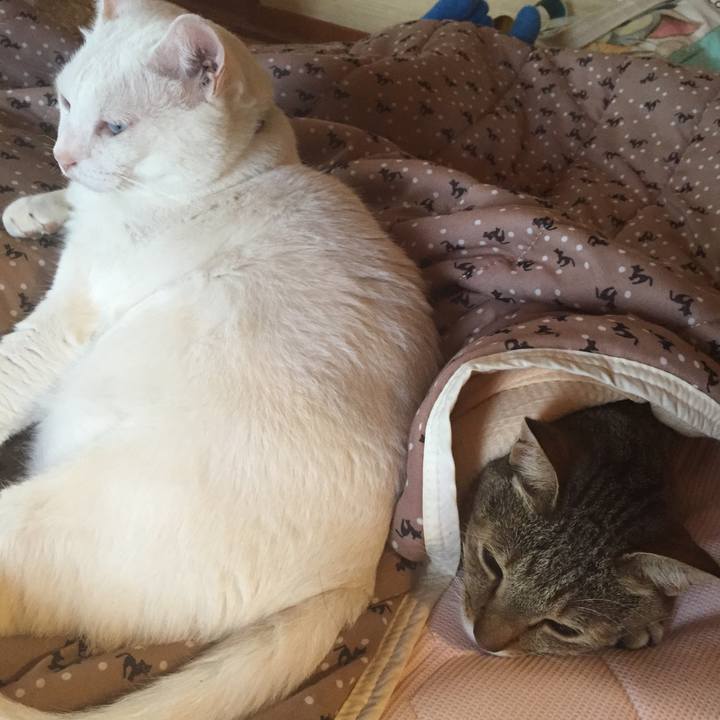 9e8d73a1 c547 4ecf 903f 58a19c8d5e7d