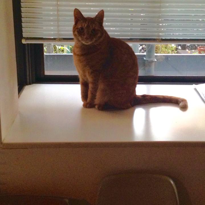 9e8dae93 7cd4 4e68 b0a3 f419161dc608