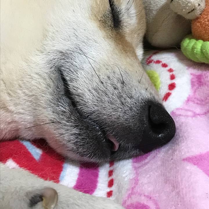 9e8f2021 6b77 4dd0 8b47 0663463fd44f