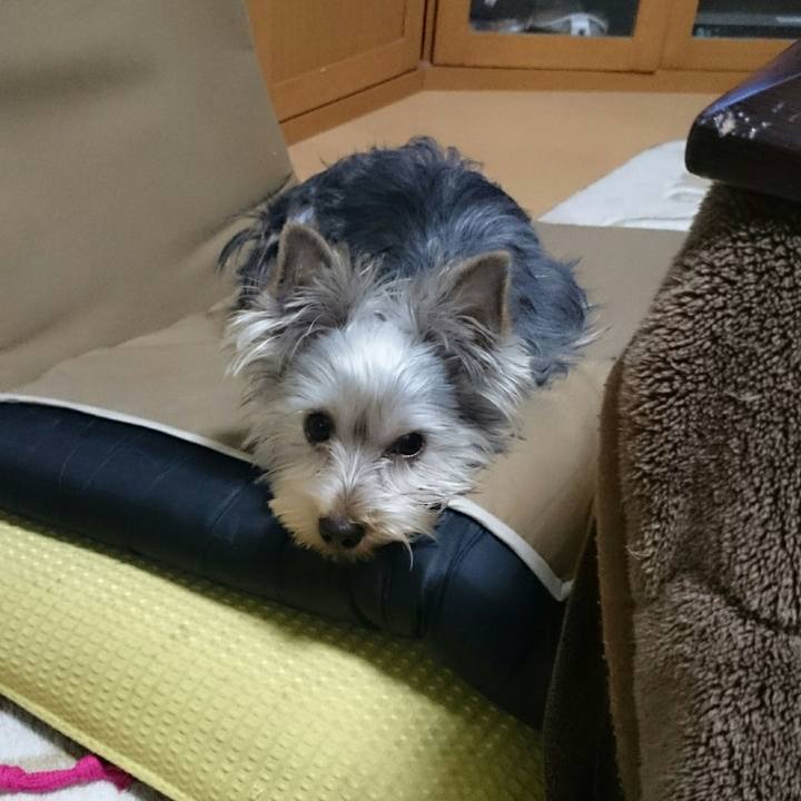 9e8fa93a 67ad 403e ad85 a6e2d89774e0