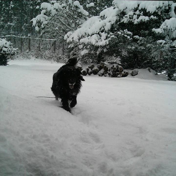 9e8fceef 946f 4758 b608 a6fe4d0c97f7