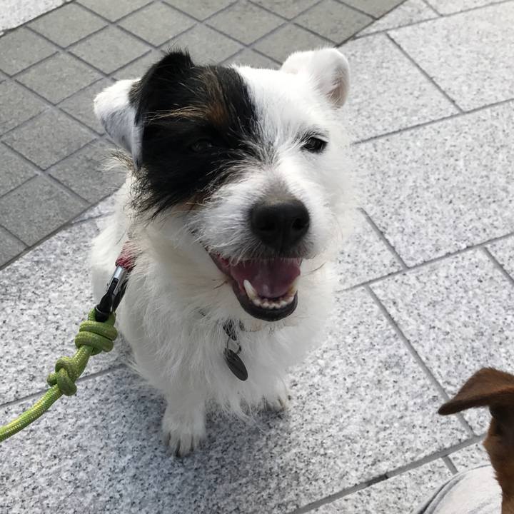 9e8fe530 405e 4f95 b281 1679fee9a19b