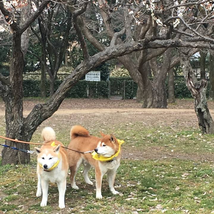 9e9010fb c856 4b91 9d0c ecee402a3a61