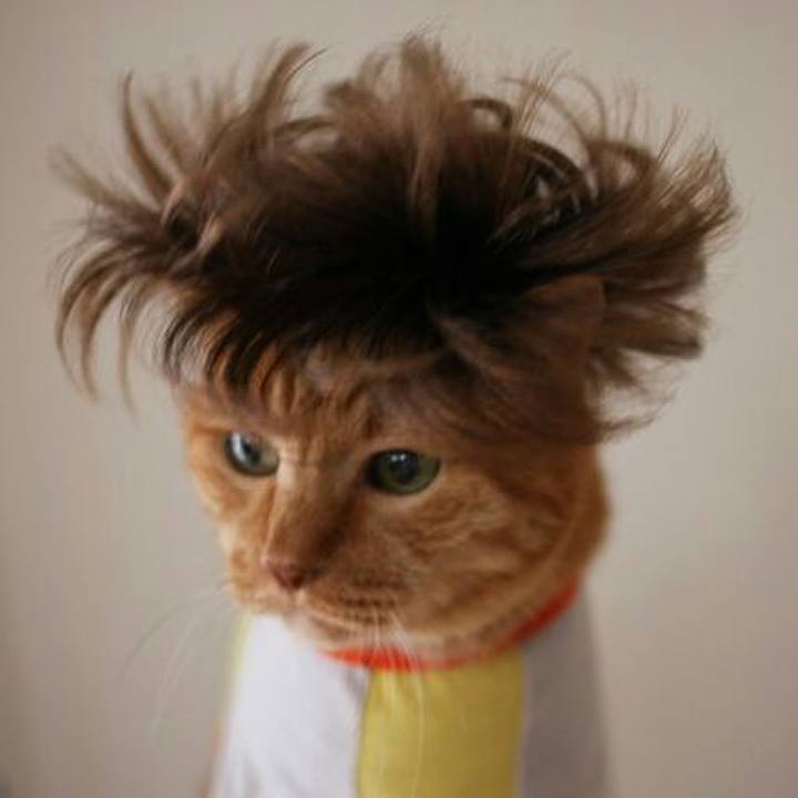 9e90f041 005e 4123 a33e b7a12c766f40