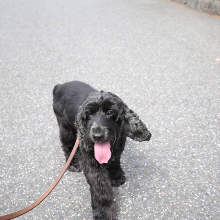 9e911744 d722 473d 9e9c e482dcb627a9