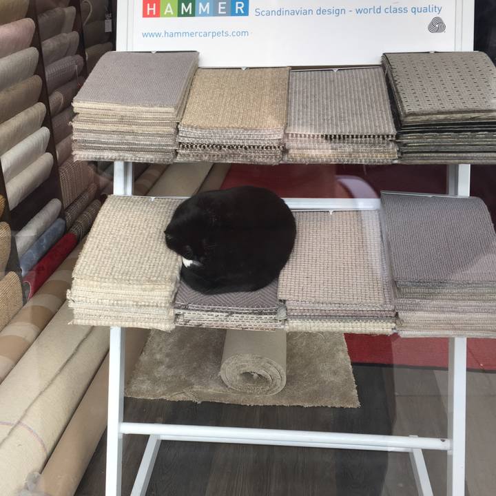 9e911be5 f141 42f0 9b1b d2738fb12b98