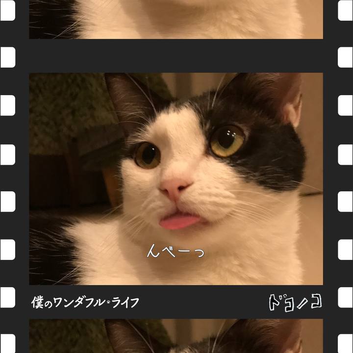 9e927483 8f2f 4880 991e 6bb7a15d95b0