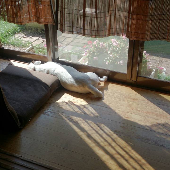 9e927577 ae34 4437 8ad8 dce37a5a1f40