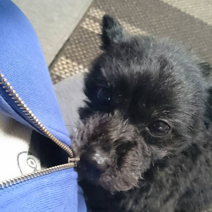 9e928d7f 4585 4b2b 8984 9240d5e0dfc1