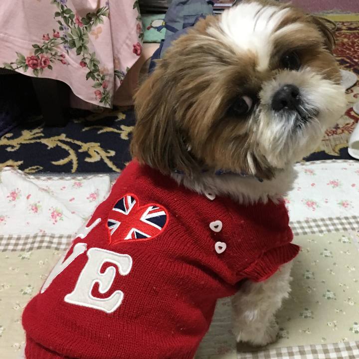 9e92aa5c 0a94 4d67 9273 0952be031ba3