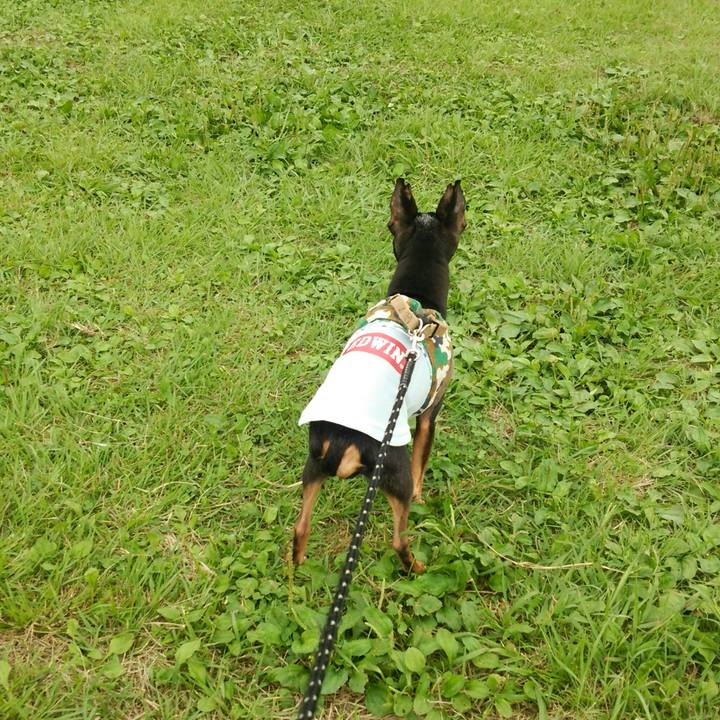 9e93a112 fdf2 4a4d af18 9a00a8628a8f