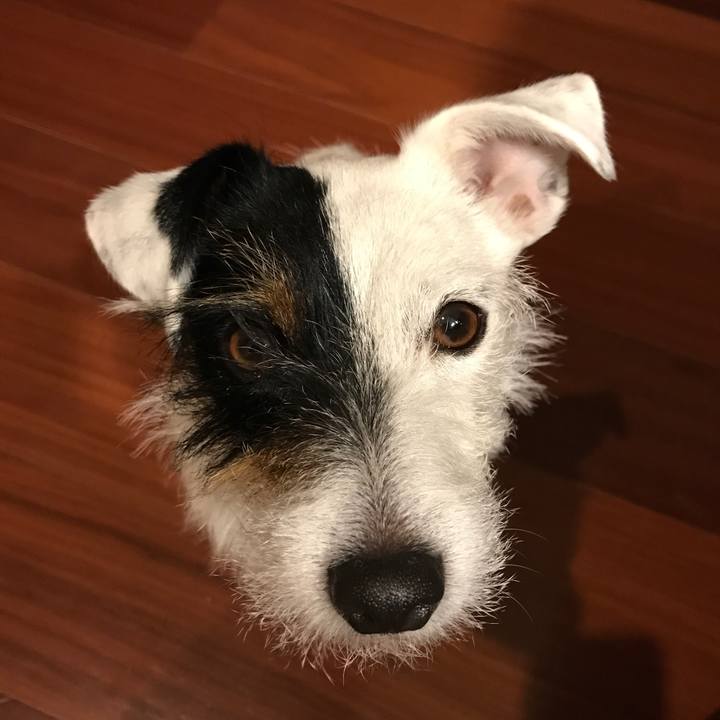 9e93bd38 4444 49eb 8092 4699a209c118