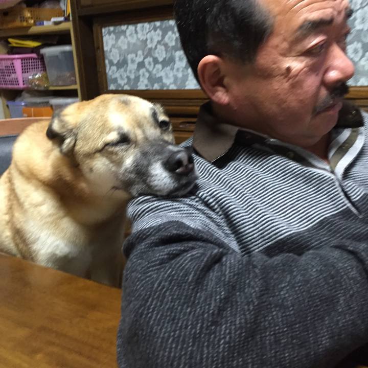 9e93e6d3 6a6e 4f20 83fe 924447a9ac8b