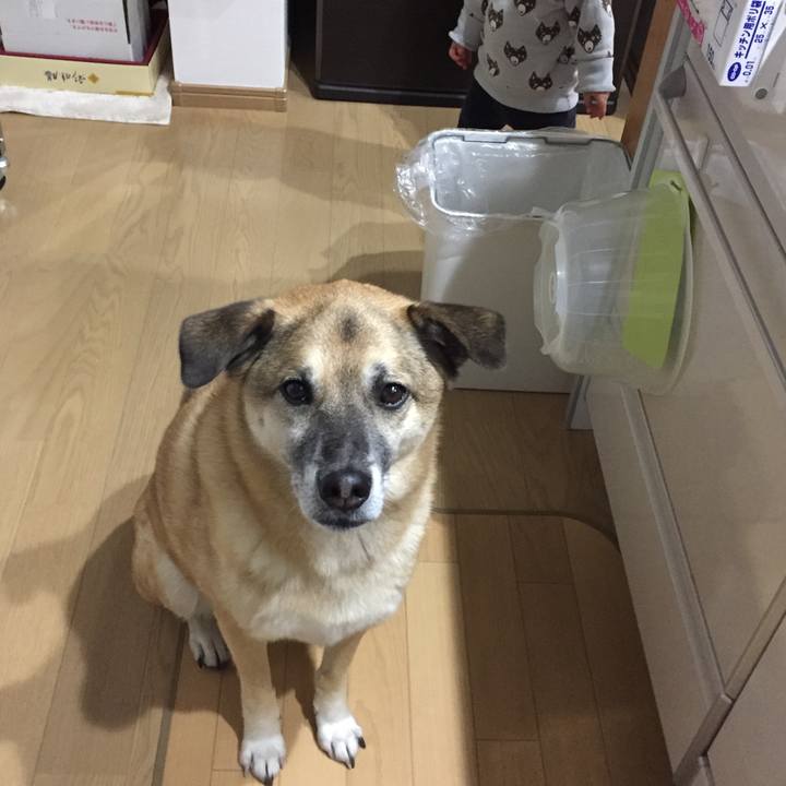 9e95a164 0276 4d22 9425 e3477149a4c1