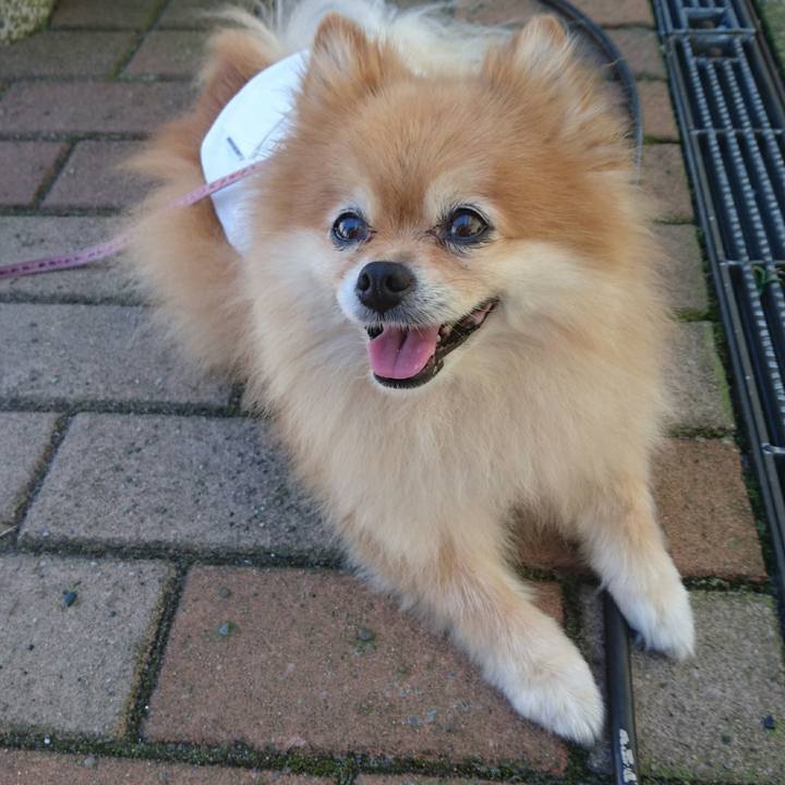 9e960cfb 663e 4c14 86a7 304719b60171