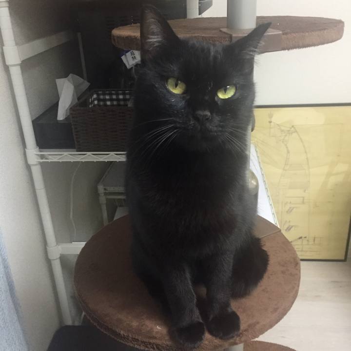 9e962af0 876c 4ed4 bafb eb89881a7b26