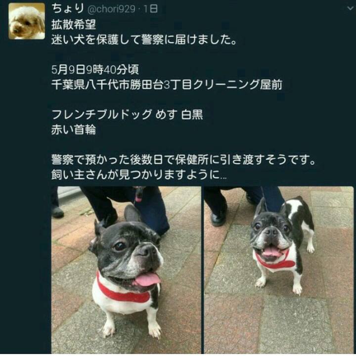 9e969dc5 b9a4 44c6 a82b 97ddebd14312