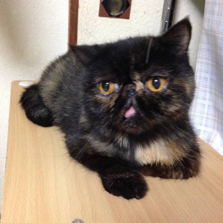 9e96fddd 4e4d 47f2 8315 1dfc101fb7b1