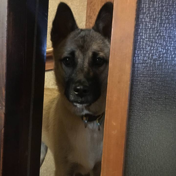 9e973a55 5213 4c7f a72c c810bc33595c