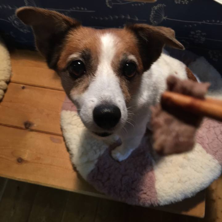 9e9755e7 c744 4962 8513 4bc9e90b93f0