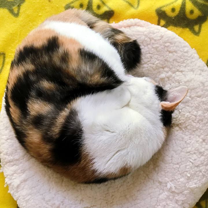 9e97a482 0b27 41e1 a0a7 20632848c559