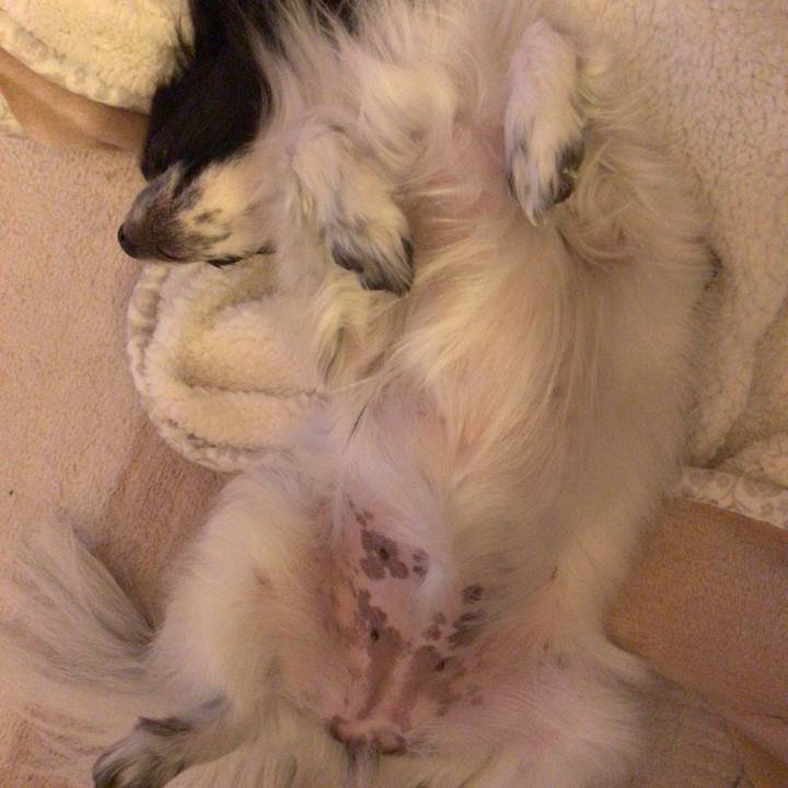 9e97f8fc a0df 4614 ae42 1e9cd58a53df