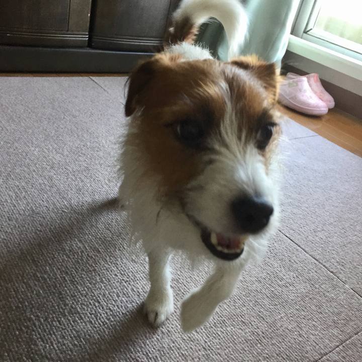 9e9902ed af5b 4a91 aa7f 01dfd879e5c2