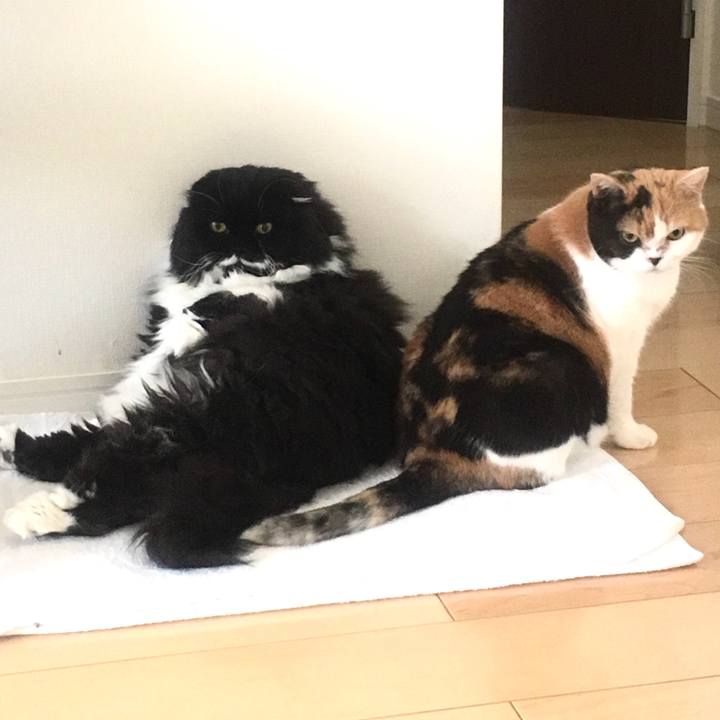 9e9985a5 3aef 4e13 ab3a e2c3744c6c7e