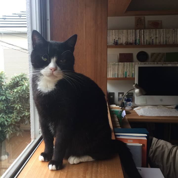 9e998d49 da18 49c4 bdb4 077bb73f5b9e