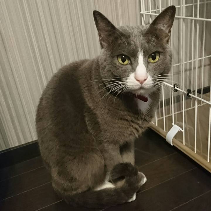 9e999158 0a38 4abe 871b 4b1cb9214376