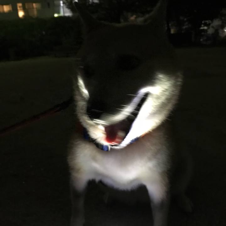 9e99f9b7 ff51 4afb 8275 c155e0e0e72f