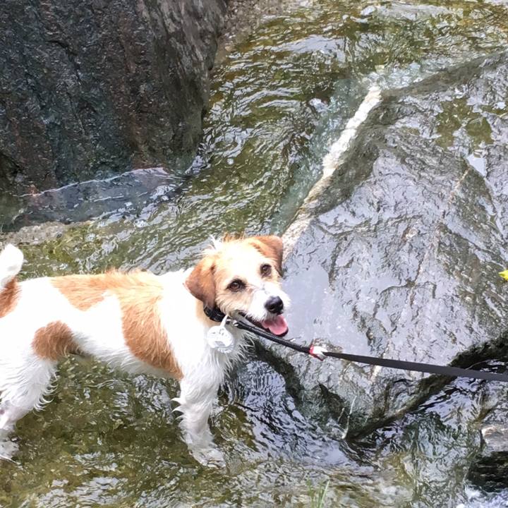 9e9a9a08 aefb 4af2 83da ab4a8ac8e381