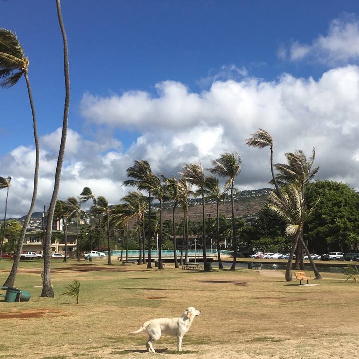 9e9bb20c 5a26 48ce a5c9 35b88e68d072