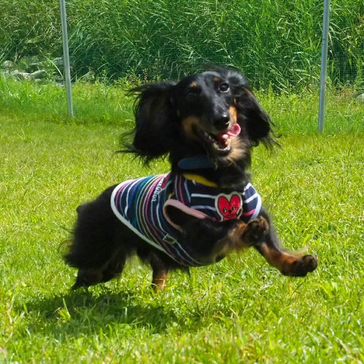 9e9bdd72 d7bc 4280 8817 1c7ace07a9b7