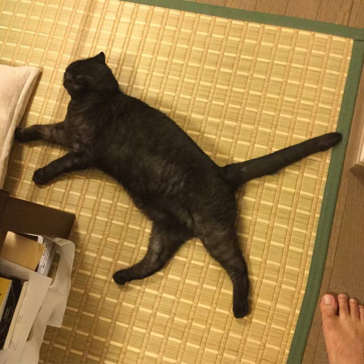 9e9bf7d5 68cc 46fb a326 a5651a9a8e6d