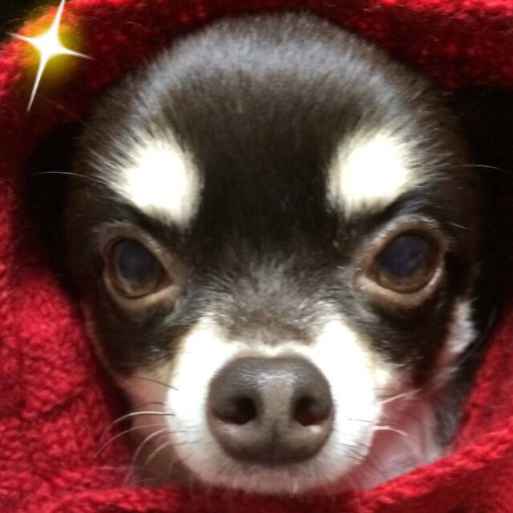 9e9c6af5 49cf 41b1 ad5b 6f0b2d6d7b93