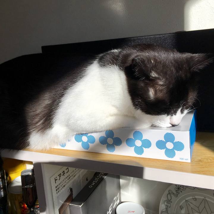 9e9c77c4 8d90 488b bad8 b298dd1b8a92