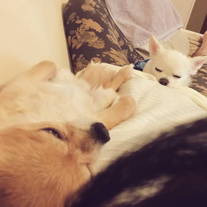 9e9cb602 c646 4a7a b883 e4aa0816efad