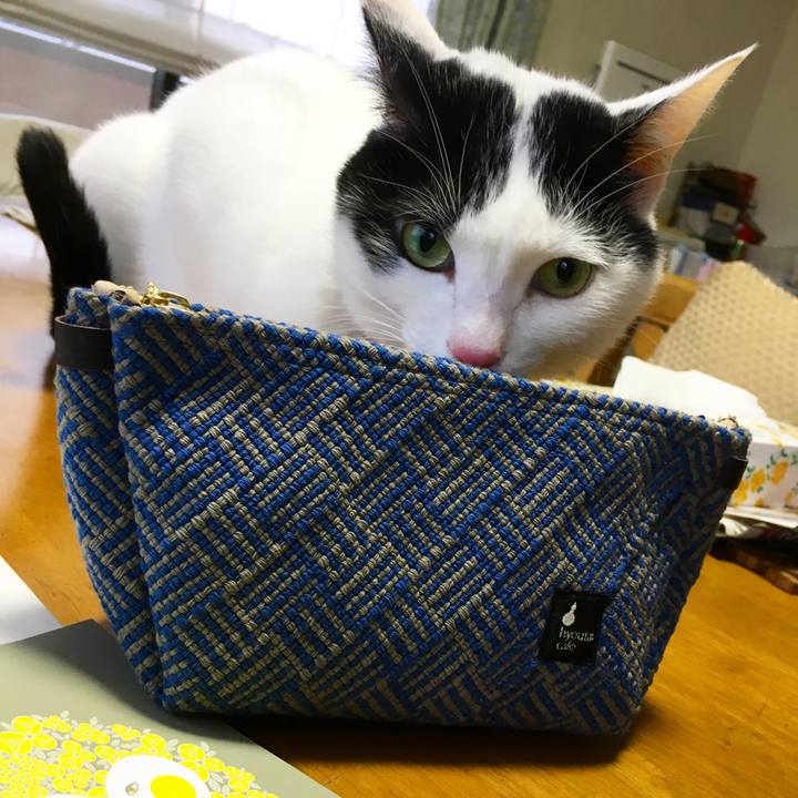 9e9d259a d09f 4043 ae3b 91fa2e6360d8