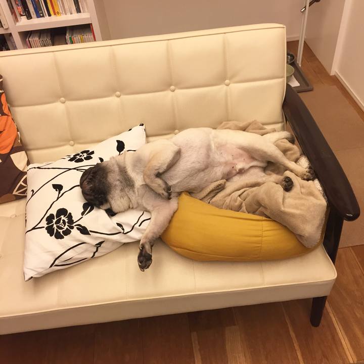 9e9d52b4 3d91 4c9a b5d3 7fa56ac0ceff